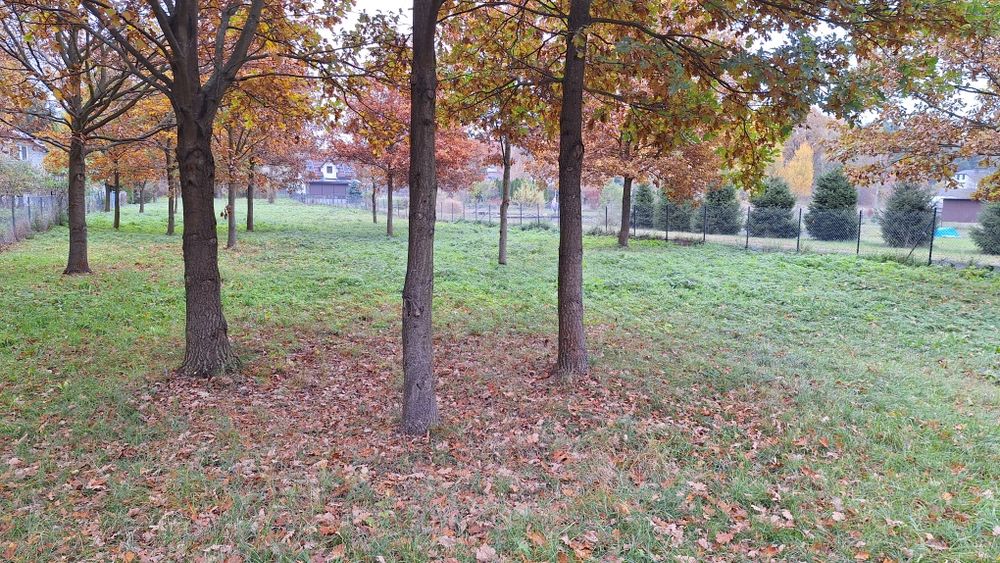 Działka budowlana 2500m2