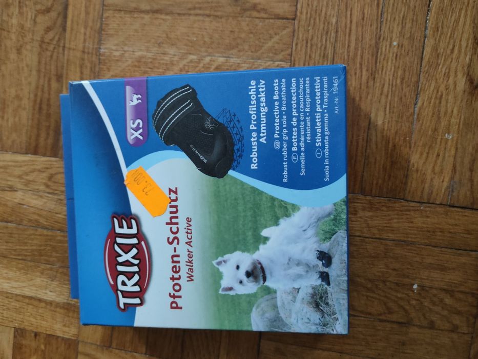 Buty dla małego psa