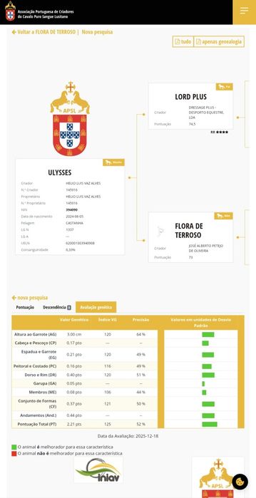 Vendo poldro PSL com 2anos