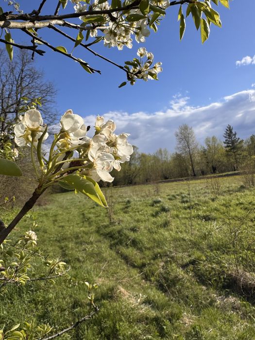 Земля під забудову біля річки у с. Топільське