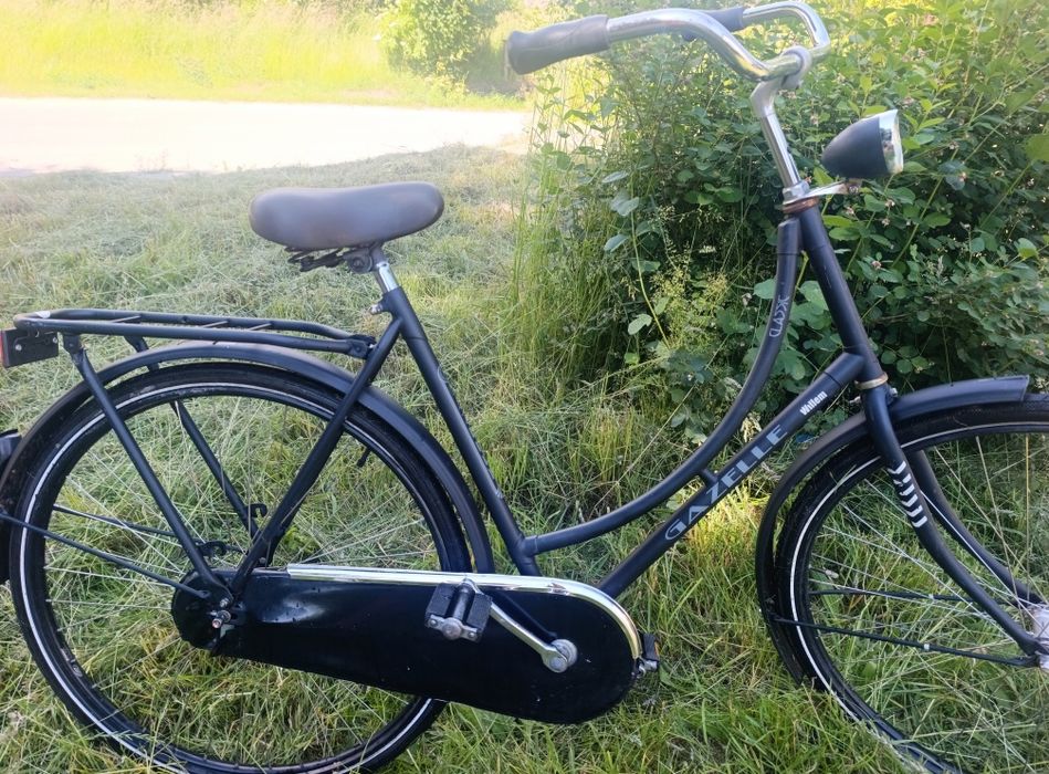 ,,Gazelle " oryginalna damka holenderska