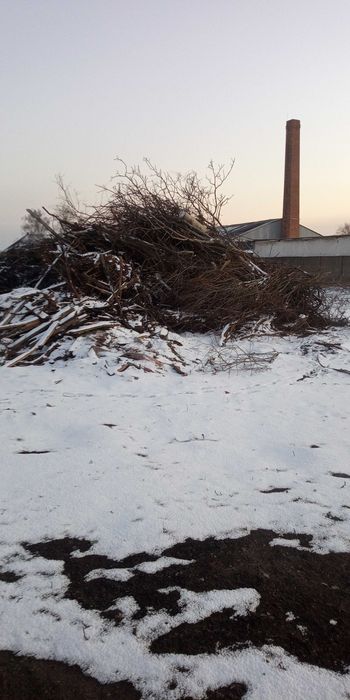 Oddam biomasę gałęzie