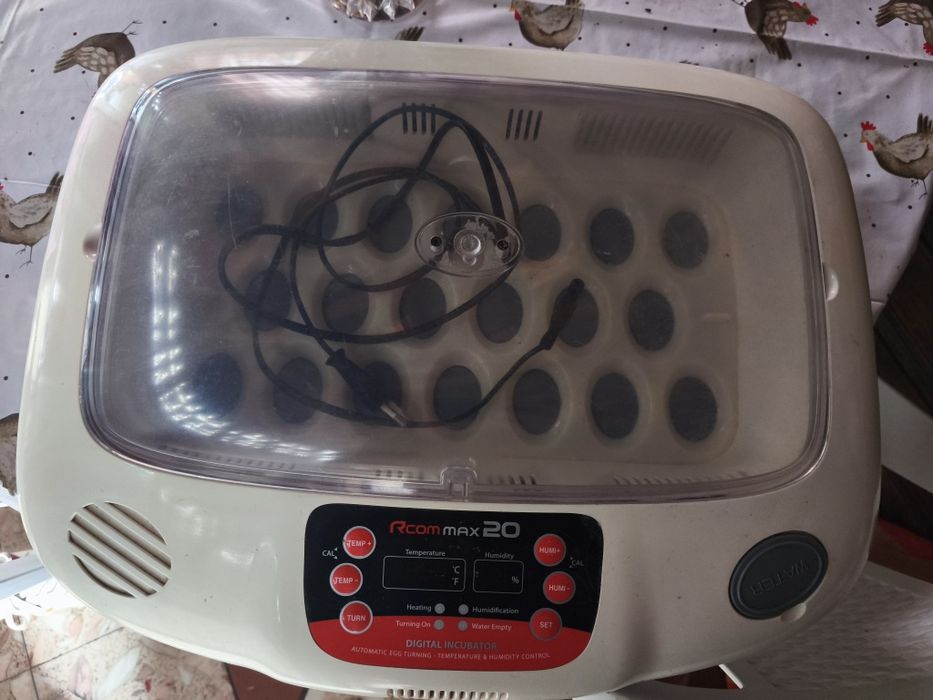 Incubadora Rcom 20 Max