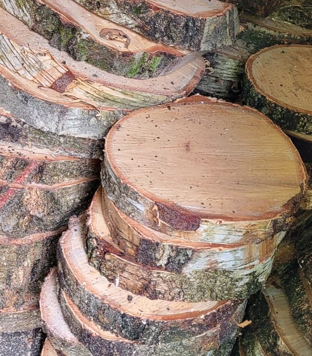 Plastry drewna, dąb, brzoza itp.