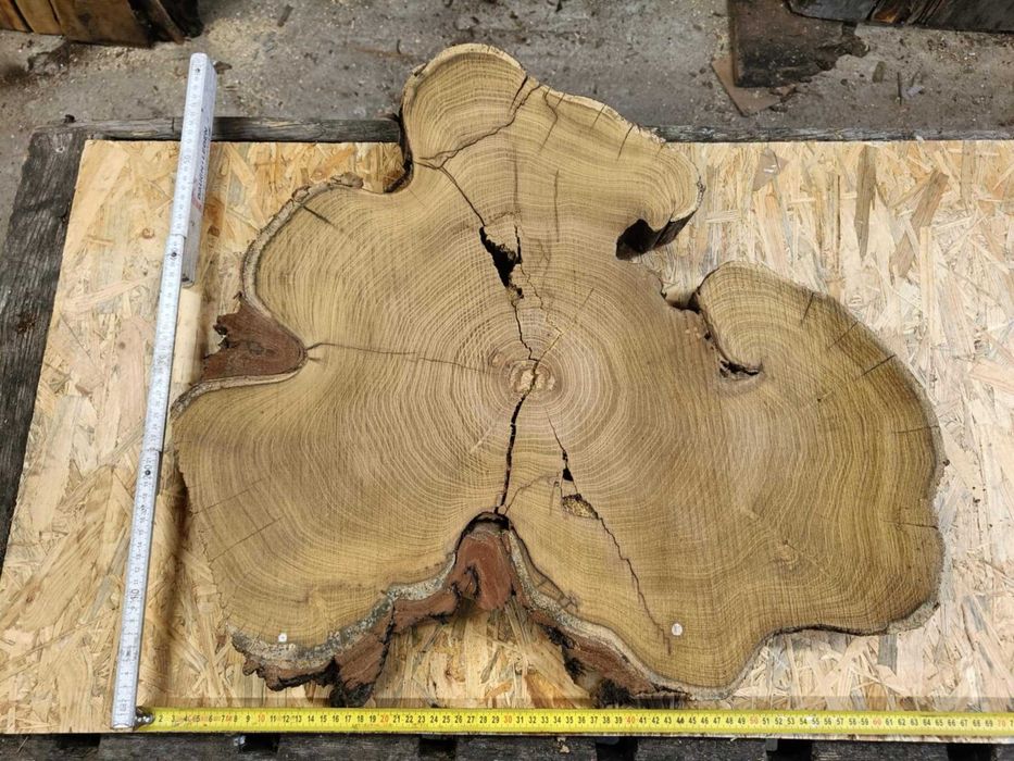 plastry plaster drewna akacja