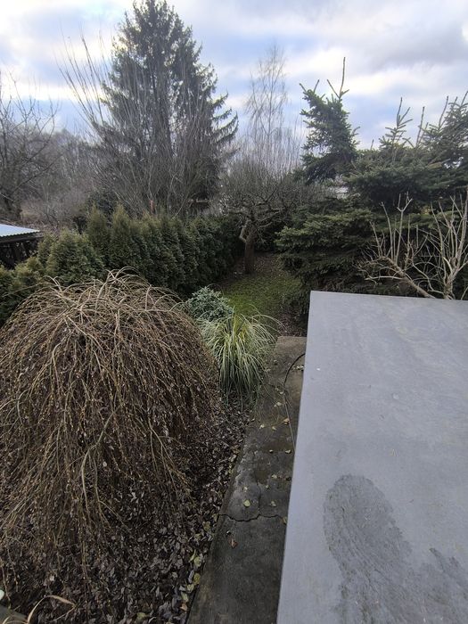 Działka ROD Malborska Targówek