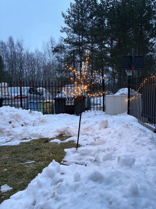 Drzewka podswietlane jysk