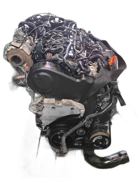 Motor Completo VW GOLF VI 1.6 TDI (77 kW / 105 cv) [02.2009 - 11.2012] CAYP (OEM)