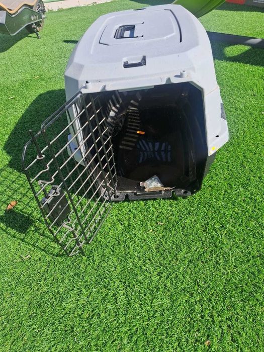 Transportadora pequena (cão)