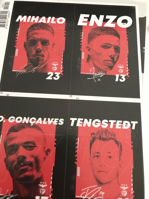 Sport Lisboa Benfica - Campeão 22/23 - Autocolantes
