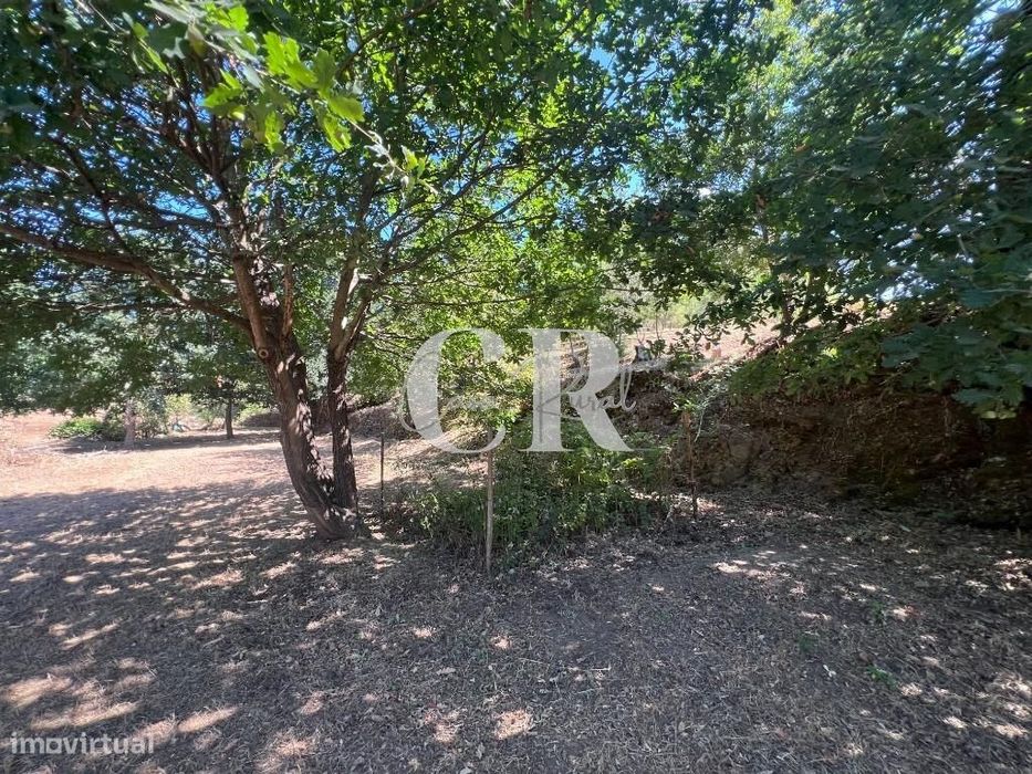 Casa de Pedra Renovada, Ruínas, Riacho, Poços e 15.570m2 de Terreno na
