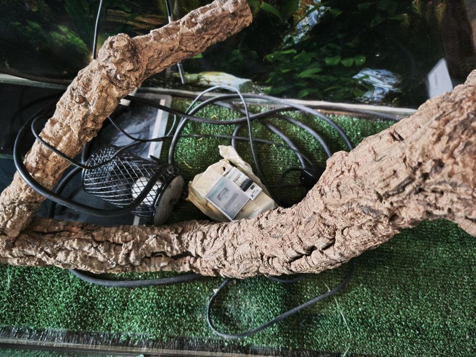 Vendo terrário para lagartos
