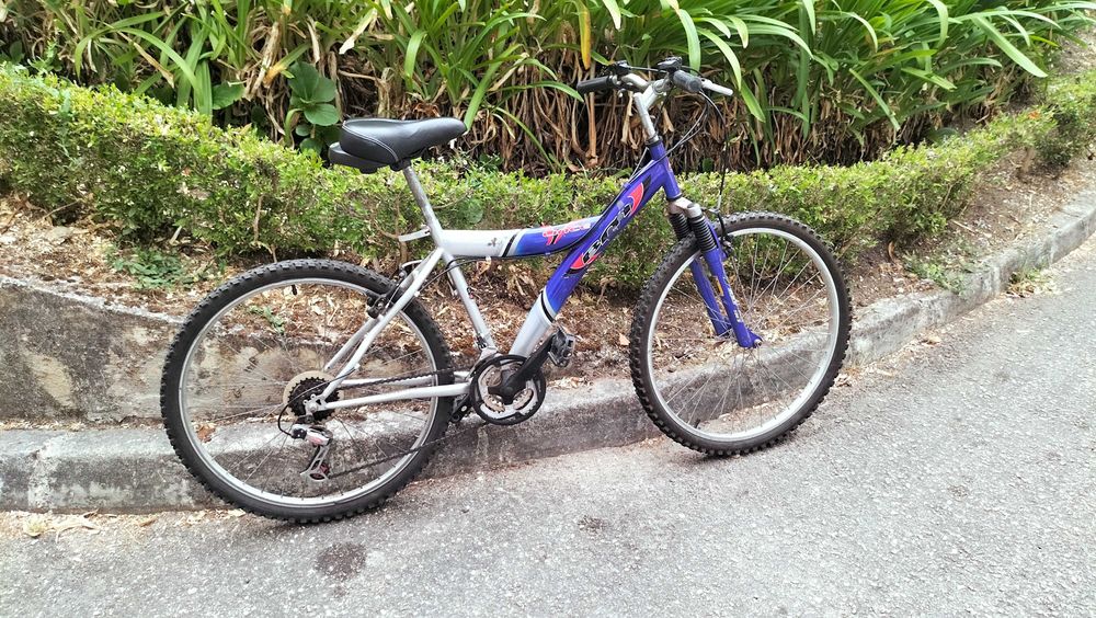Bicicleta de montanha