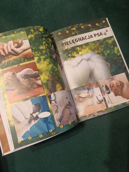 Mój pies - praca zbiorowa