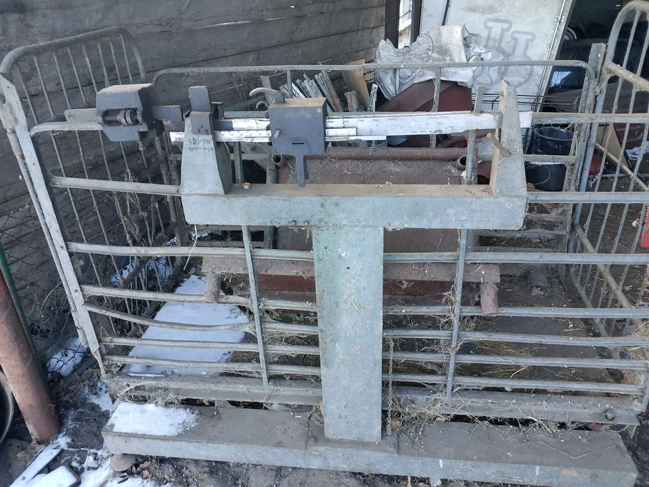 Waga do bydla 100 kg