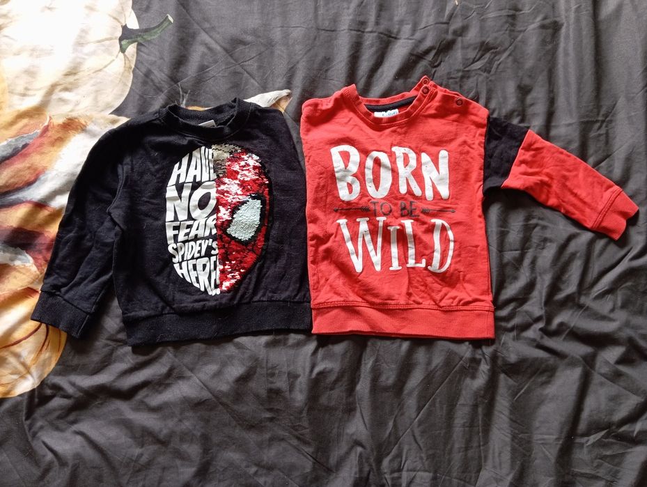 Ciuchy chłopięce rozm. 86/92 (13 szt.)