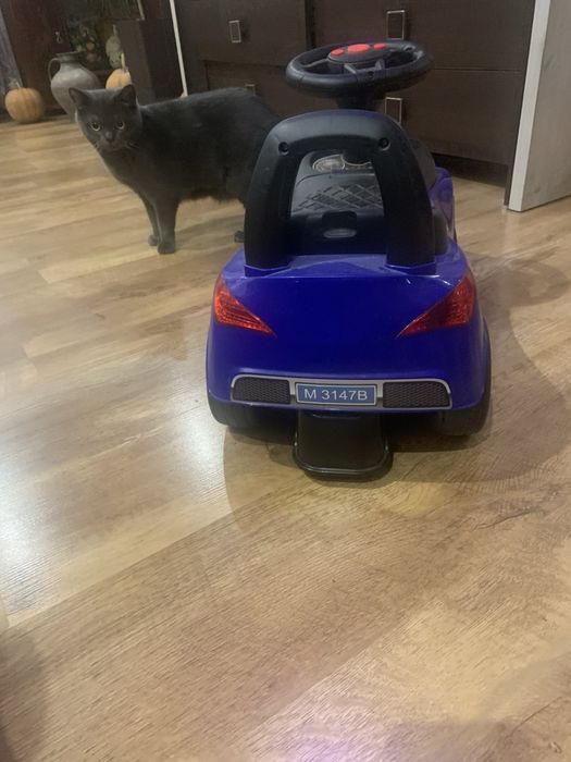 Каталка-толокар Bambi