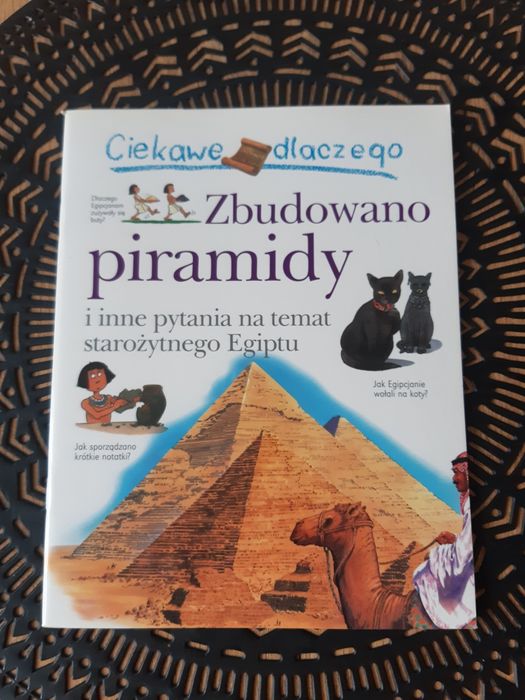 Książka dla dzieci "Ciekawe dlaczego "