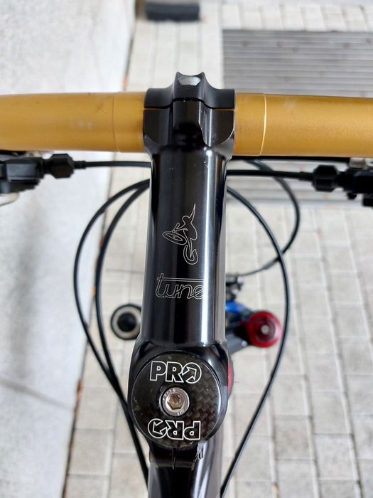 Giant XTC Team, Sid, Roox, Tune, Xtr, Mavic