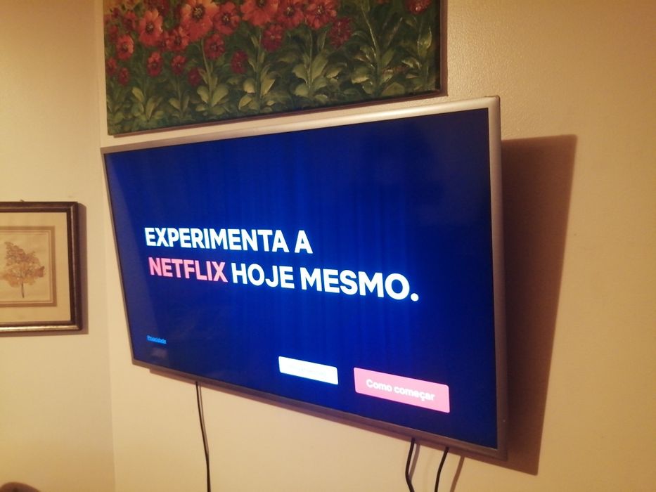 Smart TV Samsung (UE40K) ecrã partido