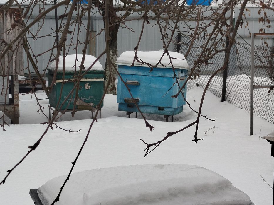 Продам вулики б/у