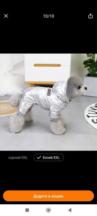 Новий Комбез для собачки