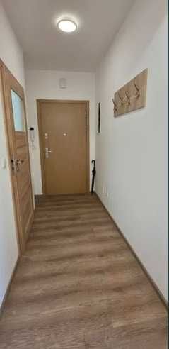 Zdjęcie 3