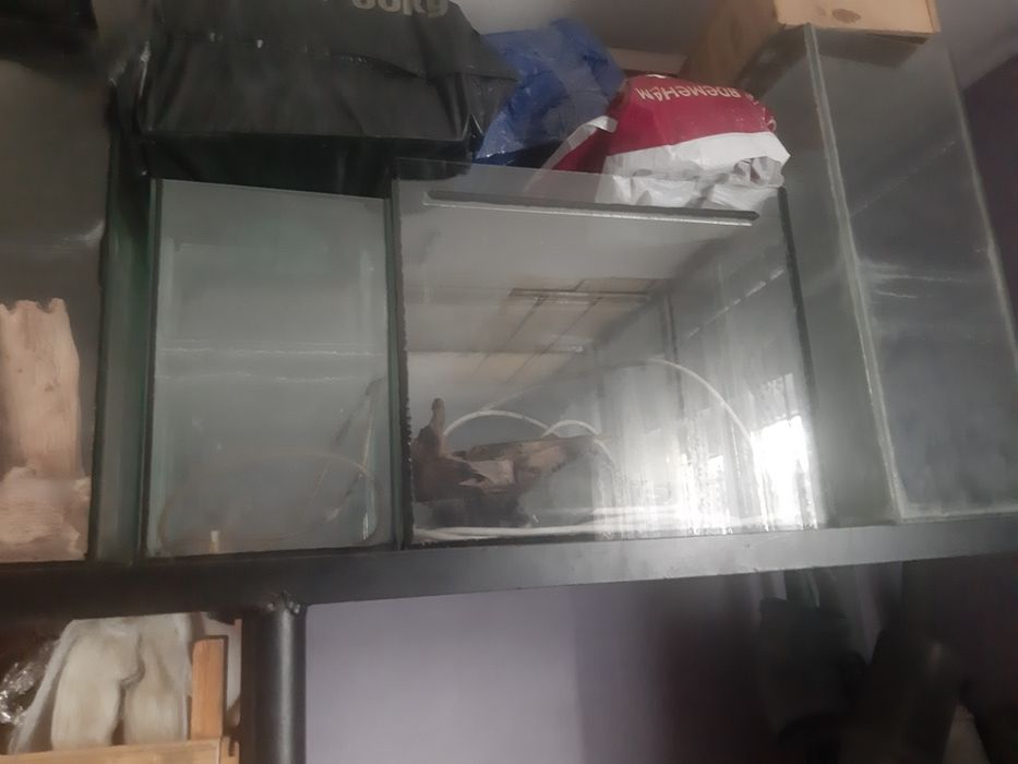 Акваріуми для риб