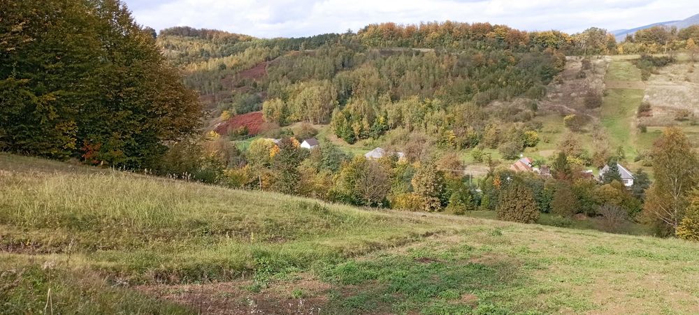 Продаю чудову ділянку у чудовому місці на курорті Поляна