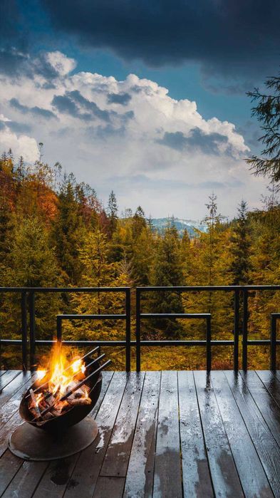 Здається будинок в Карпатах