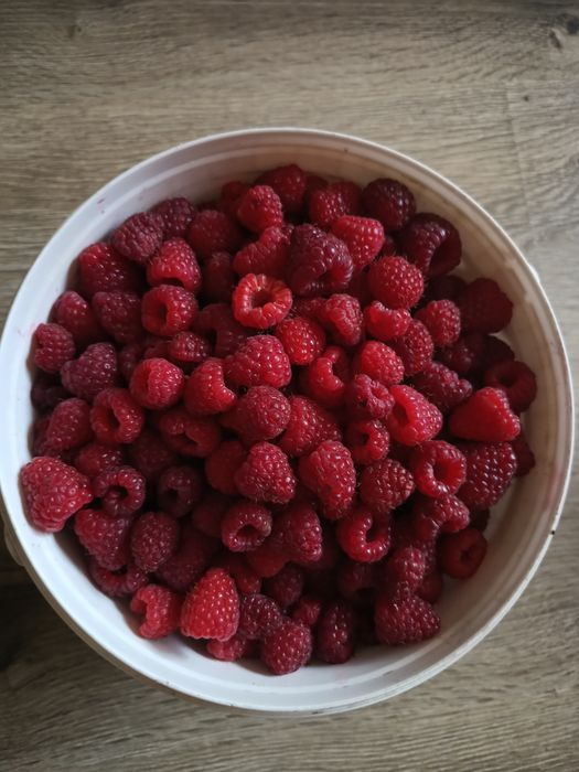 Maliny ekologiczne