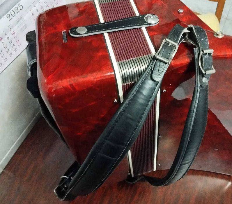 Acordeão Sonantti(pouco uso)