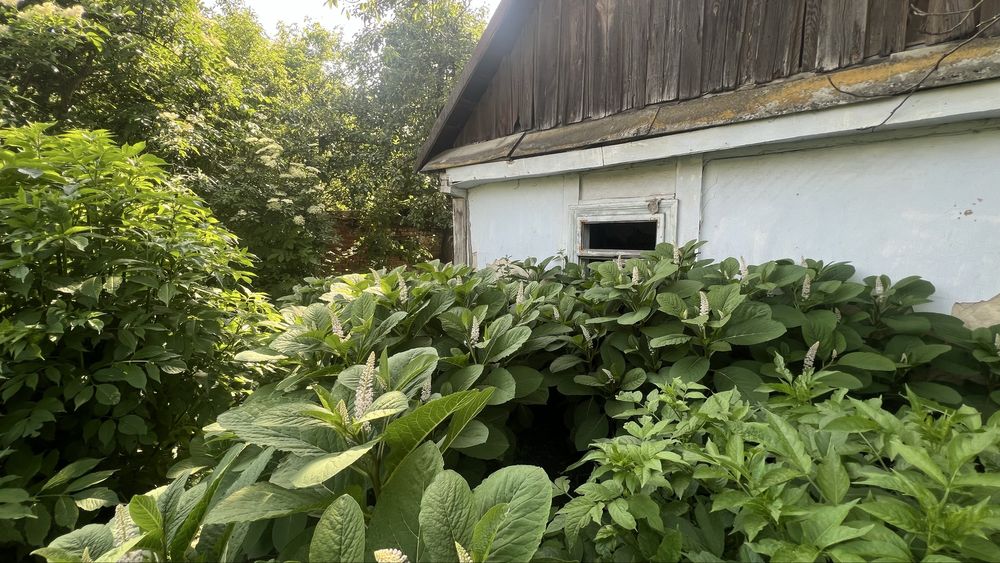 Продається земельна ділянка в селі Бабин