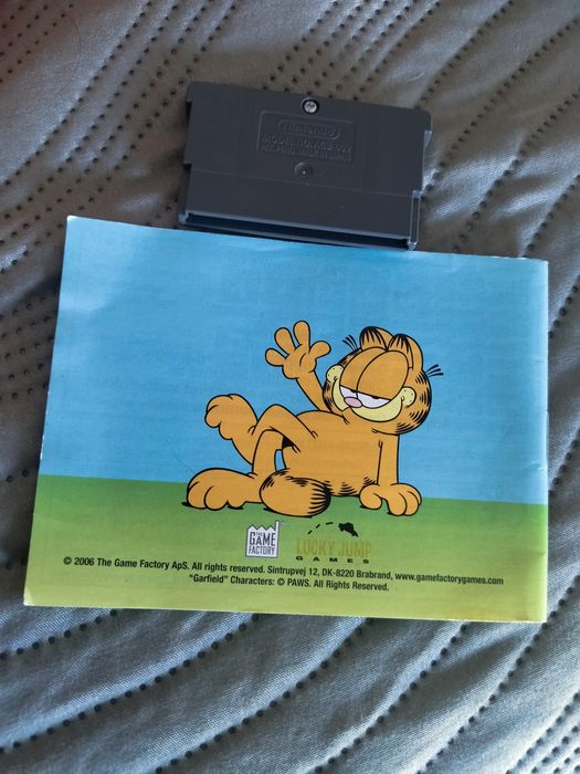 Nintendo Garfield And His Nine Lives GBA Gameboy