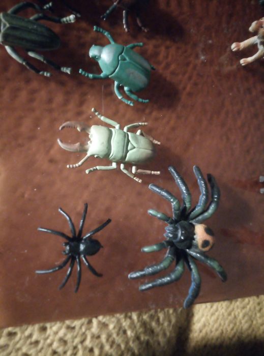 Животные разные и домашние и дикие