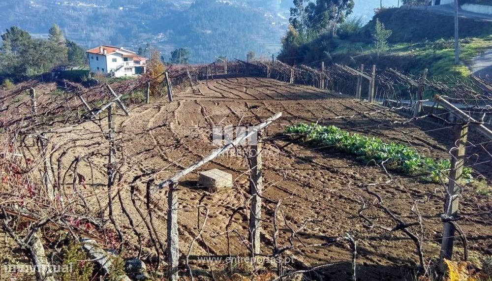 Venda Terreno, Bairros, Castelo de Paiva — Marco, Porto