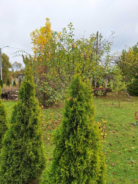 Działka ROD 400m2