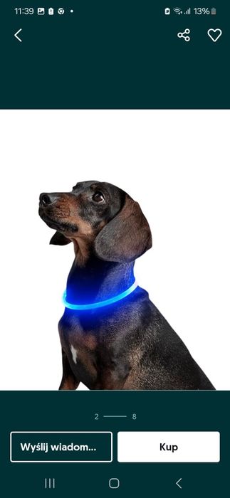 Smycz dla psa led