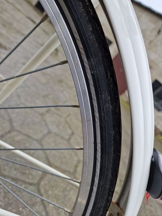 Rower holenderski limit i rivel