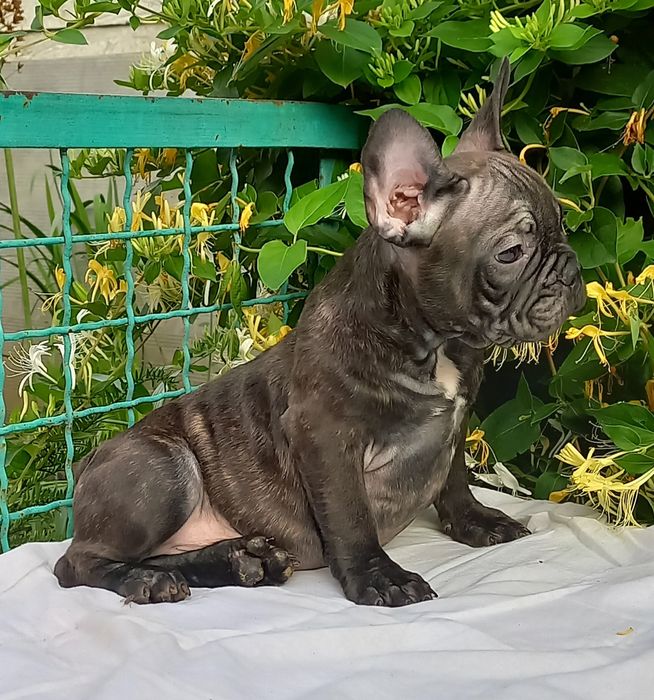 Мальчишка ждет семью