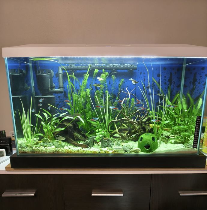 Sprzedam Akwarium 105L