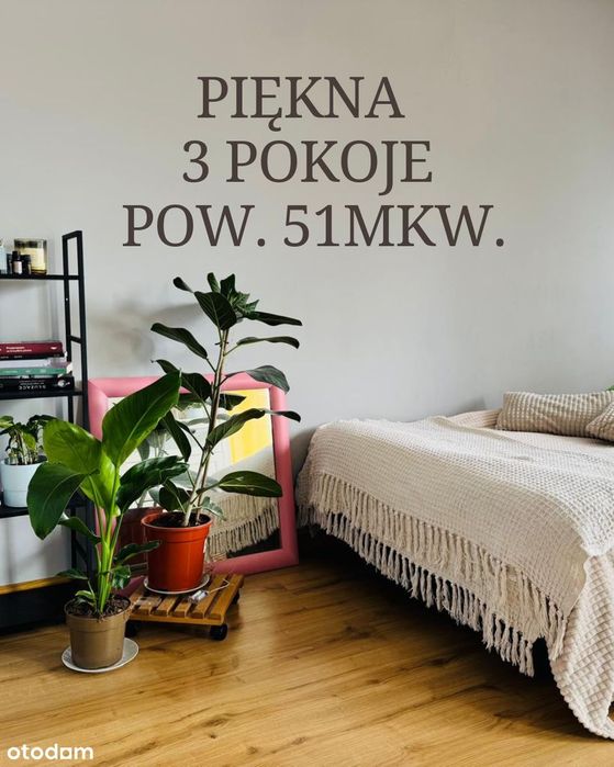 3 pokoje, super lokalizacja, idealne pod inwestycję !