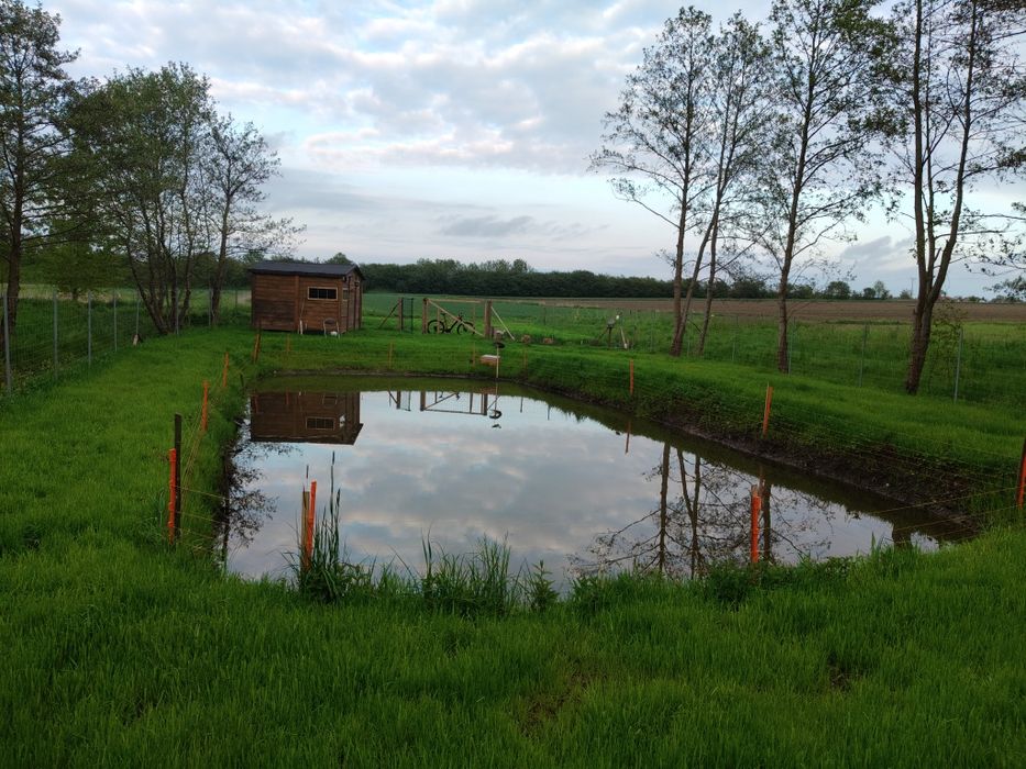 Działka rolna 3000m2 staw domek ogrodzona pod rekreację , odpoczynek w spokojnym miejscu