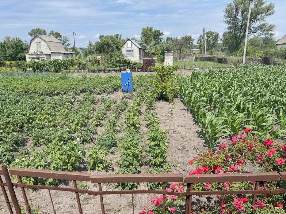 Продам дачу дві ділянки