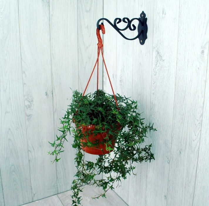 Wieszak Hak Uchwyt metalowy kuty na doniczkę - Czarny RAL 9005 (W71)