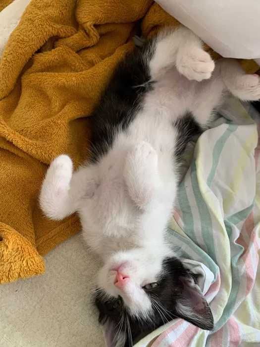 Maciek czeka na domek