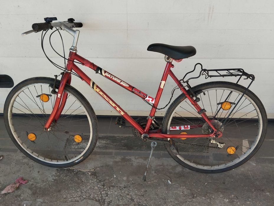Bicicleta Team Nature 100.