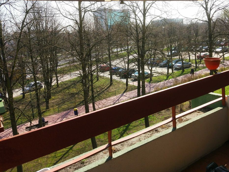 Pokój dla studentki w mieszkaniu na  Czechowie