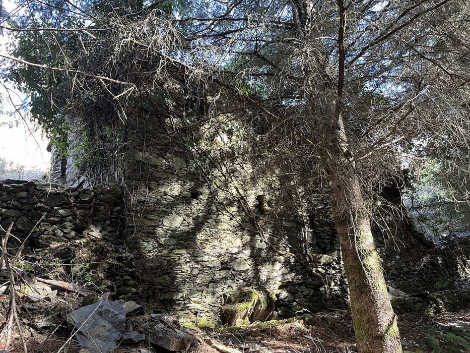 Quinta com 5hec - Serra da Lousã