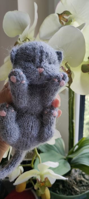 Kotek jak żywy pluszak przytulanka